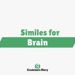 Similes for Brain
