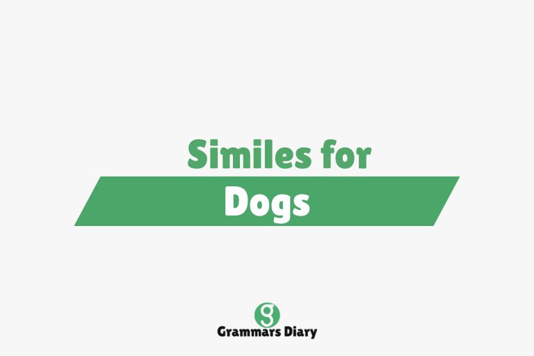 Similes for Dogs