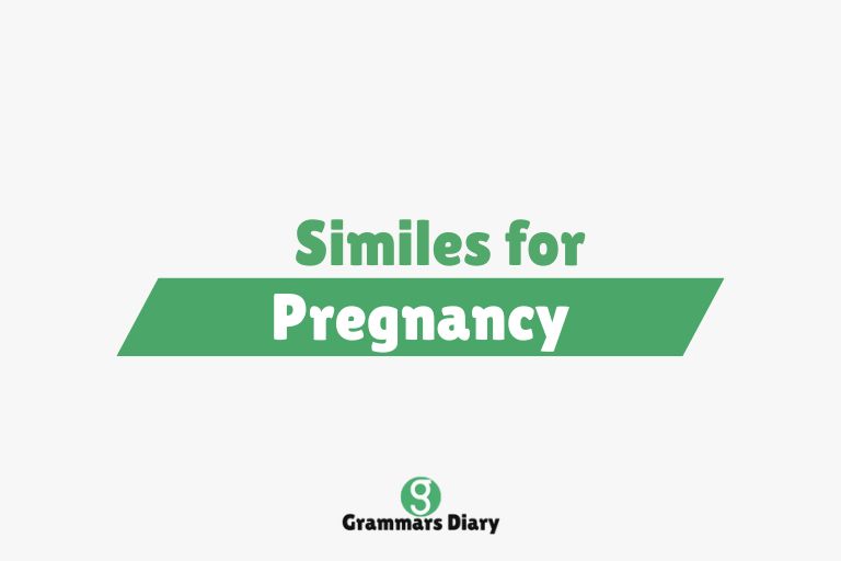 Similes for Pregnancy