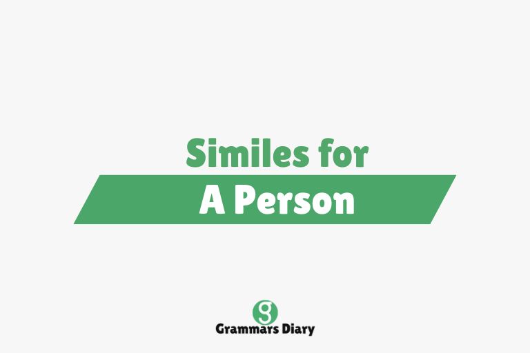 Similes for a Person